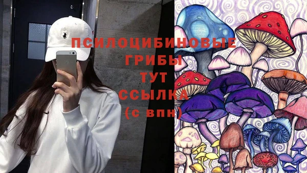 скорость Абаза