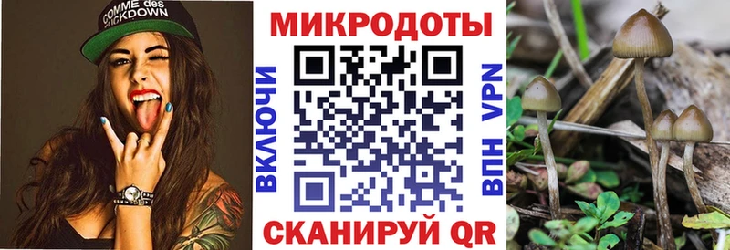 где найти наркотики Курчатов Галлюциногенные грибы Magic Shrooms
